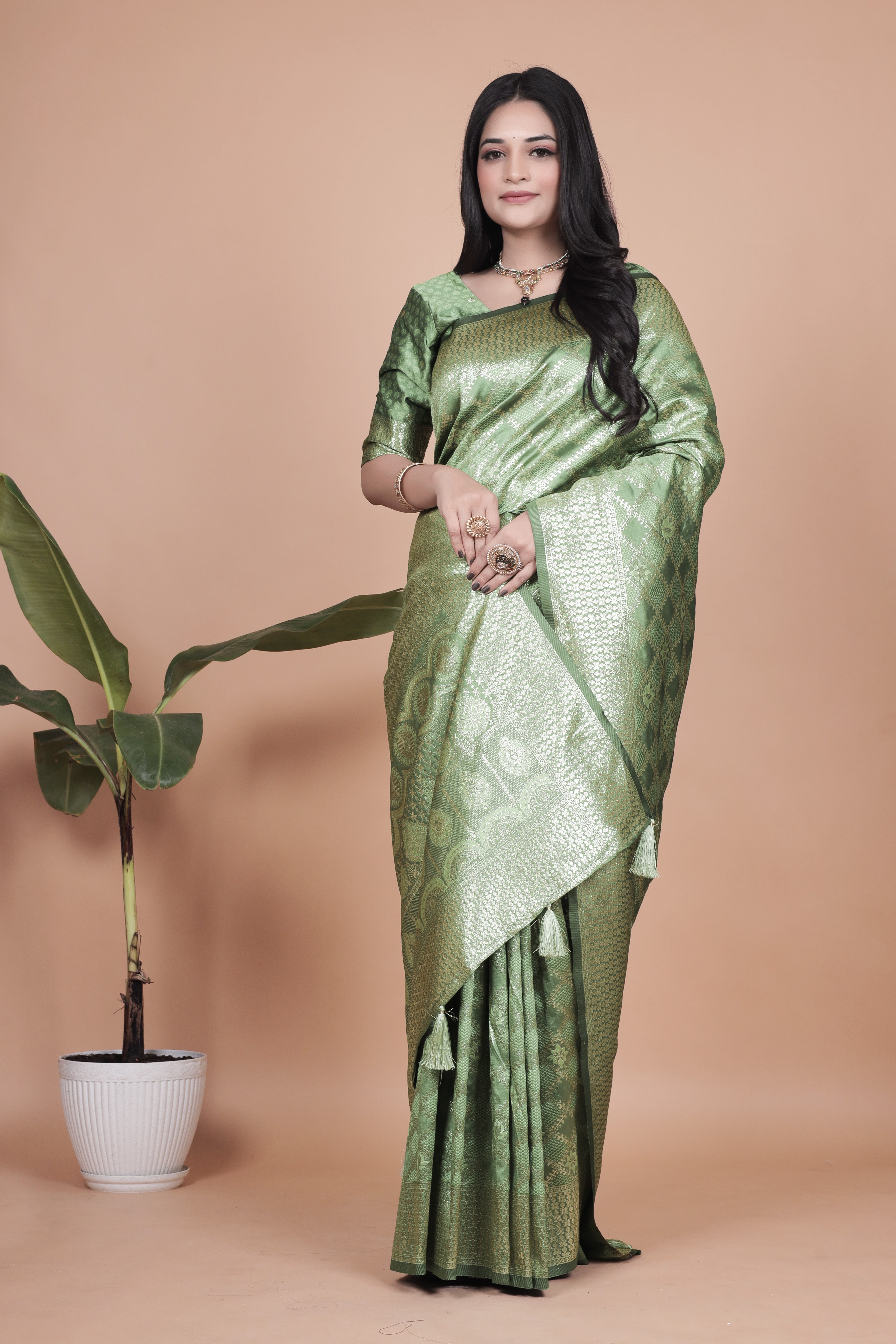 Banarasi Silk Saree with Golden Zari Elegance with 4 color ✨💚